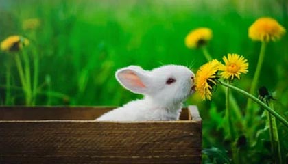 开云体育官网-“欧联杯先生” 埃梅里5进决赛4夺冠 并不止于此！